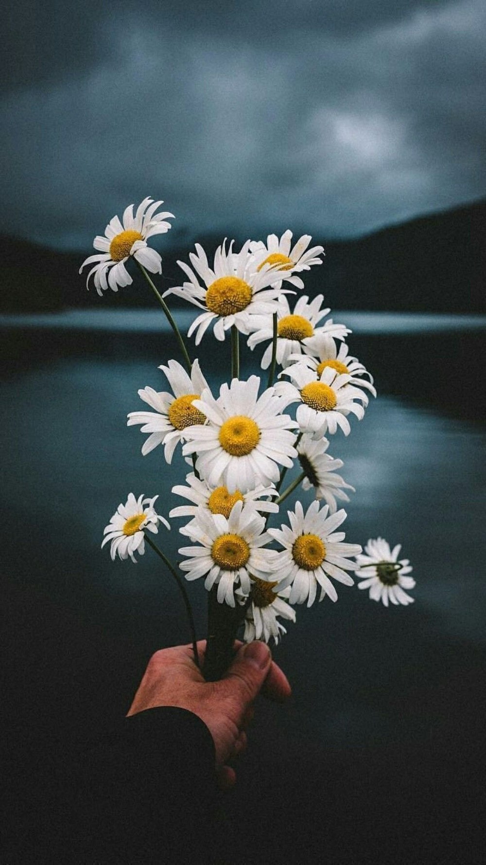 Коллаж в бежевых тонах