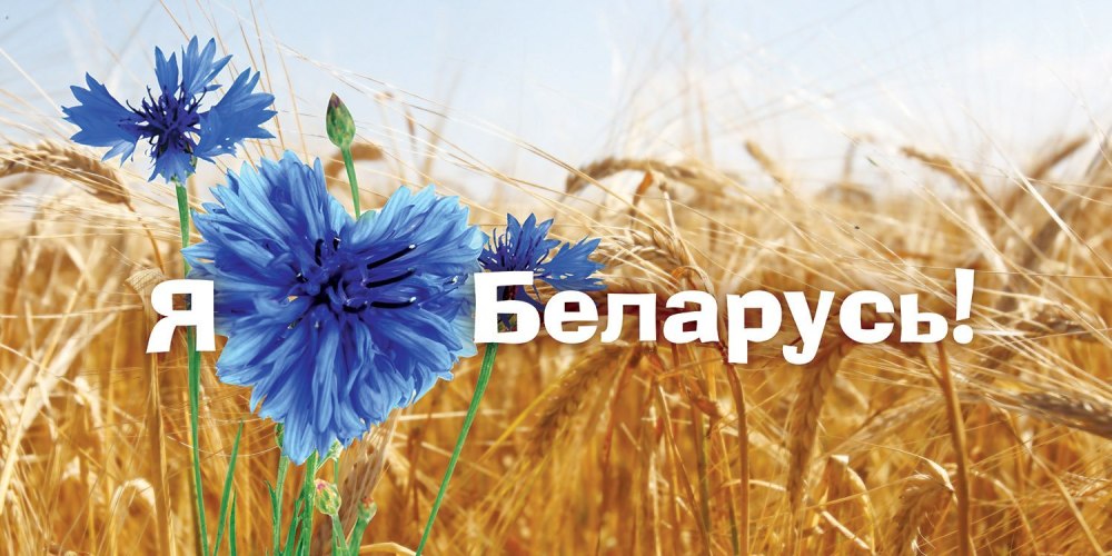 Я люблю Беларусь