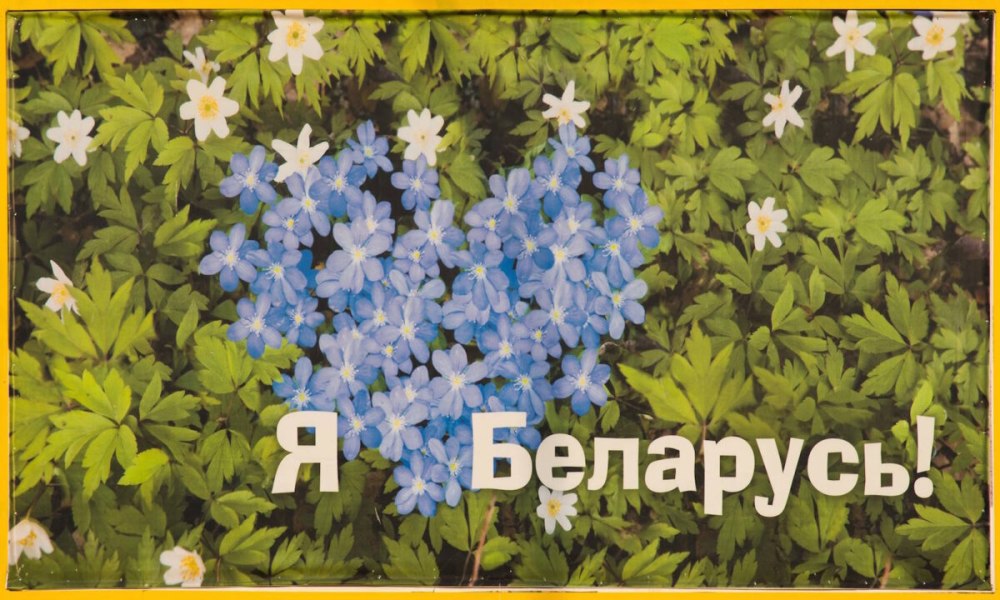 Моя Родина Беларусь