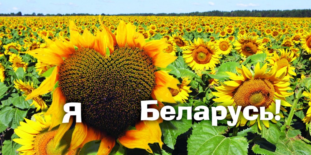 Беларусь любовь
