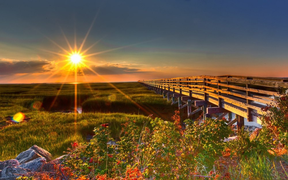Красивая природа рассвет