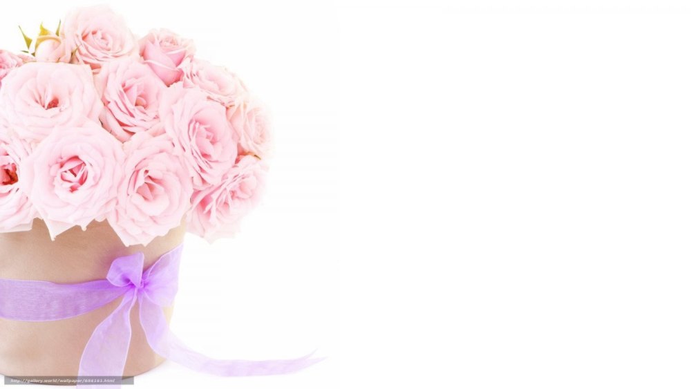 Фон для поздравления