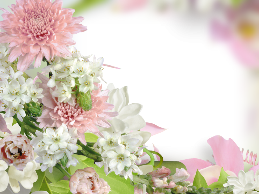 Фон с цветами для поздравления