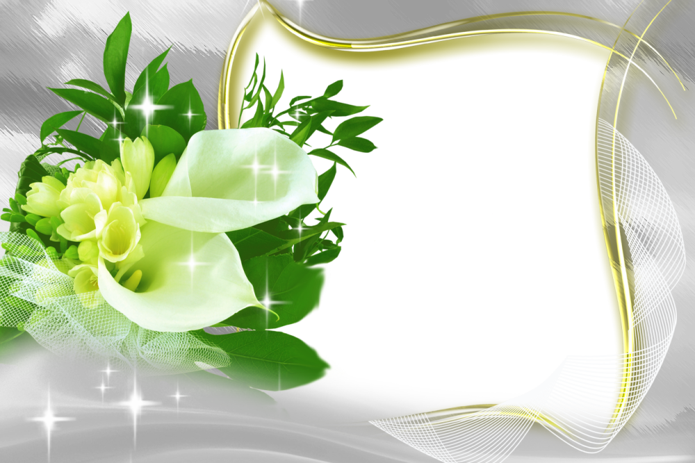 Фон для визитки с цветами