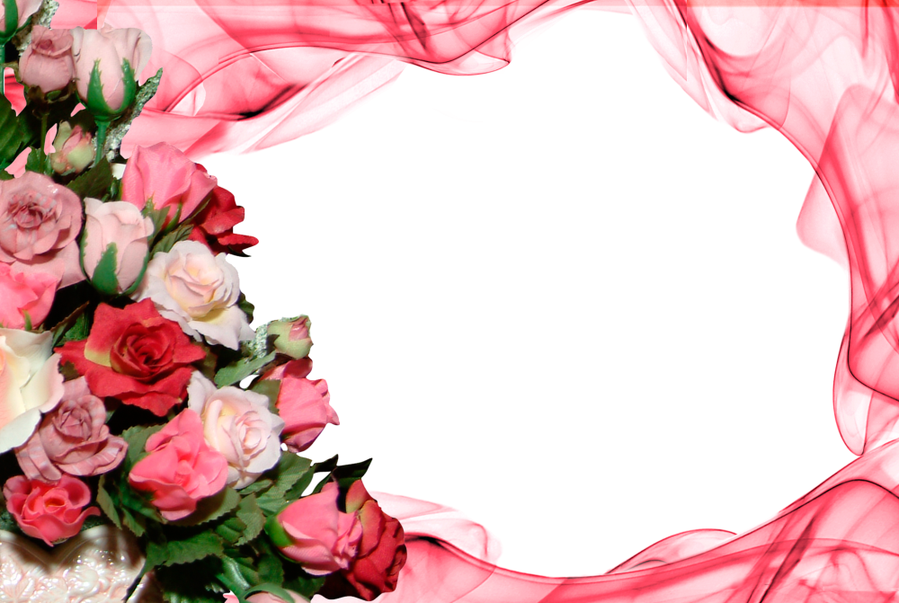 Цветы на однотонном фоне