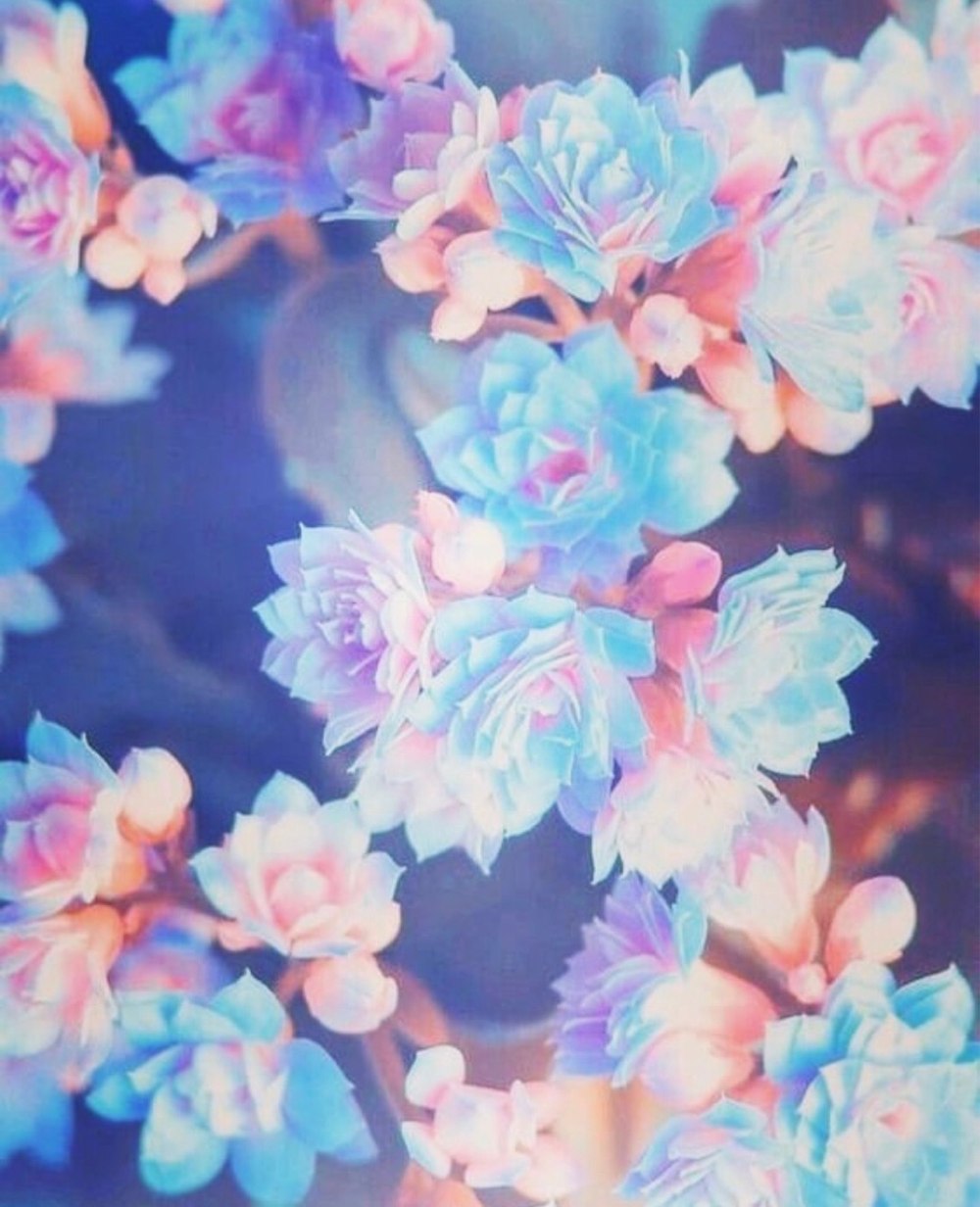 Everlasting Summer пейзажи