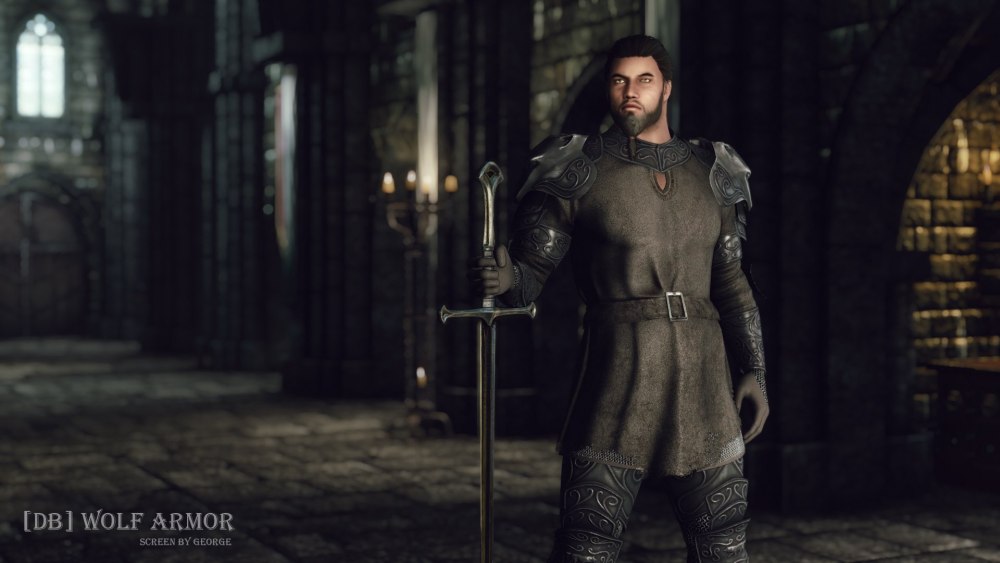 Skyrim Dizona Armor