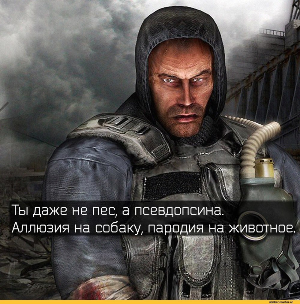 Сталкер шрам и дегтярёв