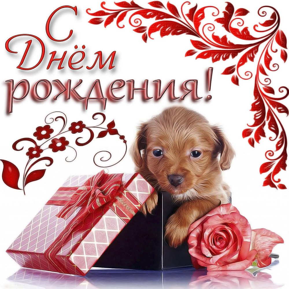 С днём рождения букеты с пожеланиями