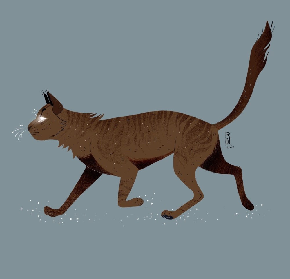 Арты коты Воители murkbone