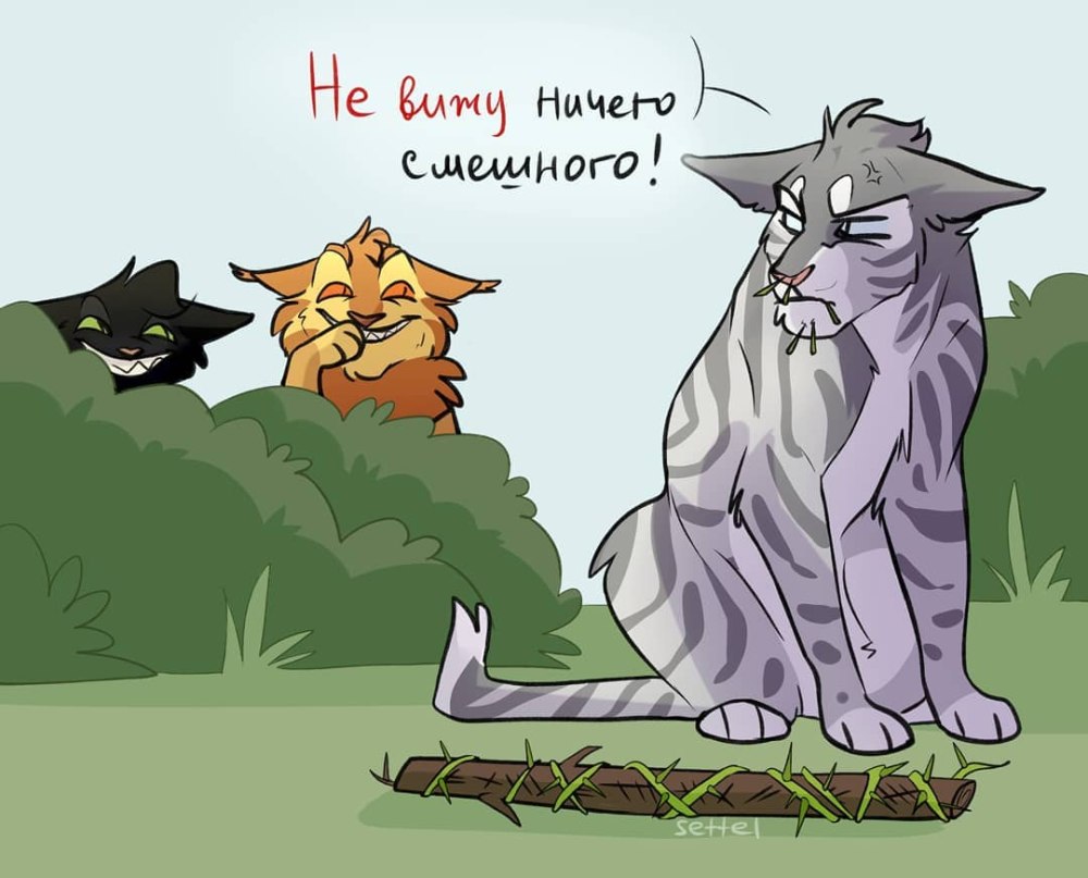 Коты воители обгоняющая ветер
