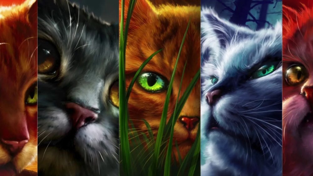 Коты Воители факты о Златошейке