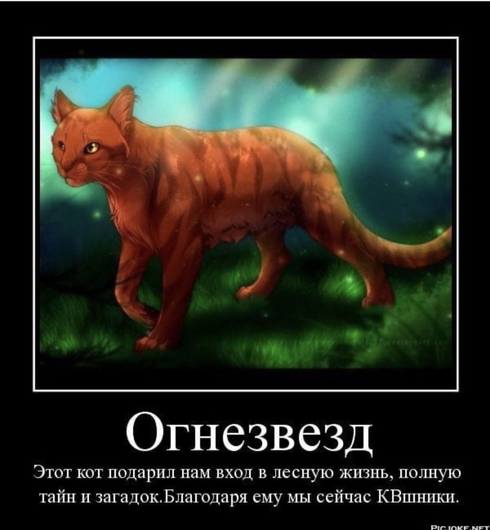 Коты Воители ОС адопты