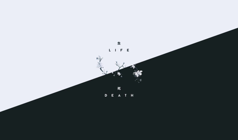 Forever Rain БТС