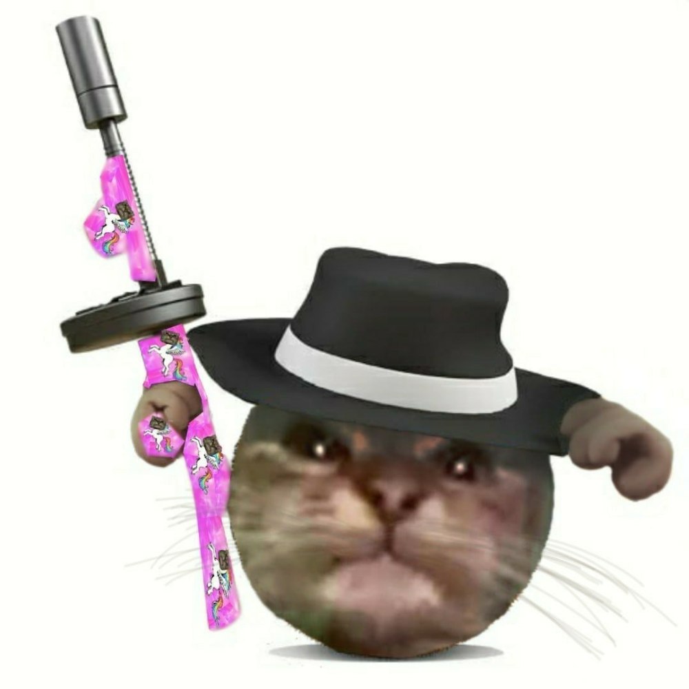 Шлепа в костюме кот