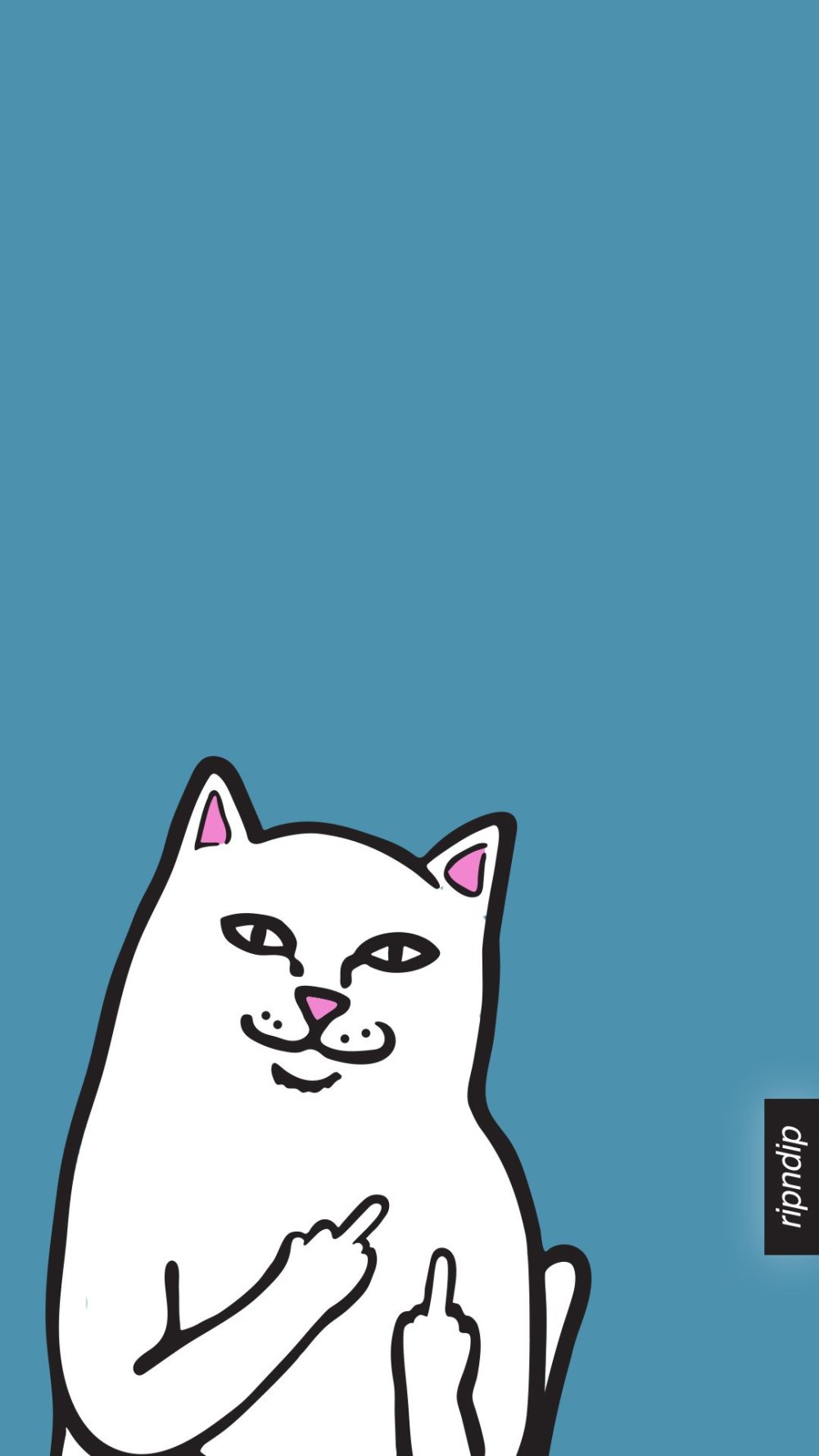 Bongo Cat cam v2
