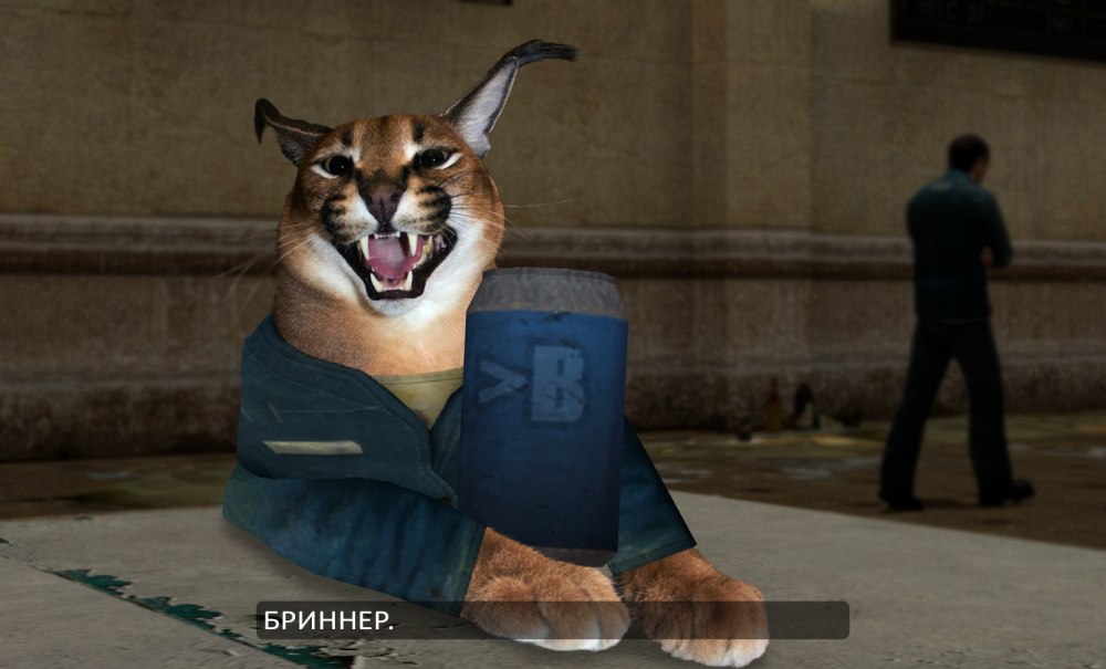 Шлёпа русский кот