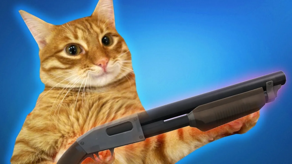 Мемы коты чб