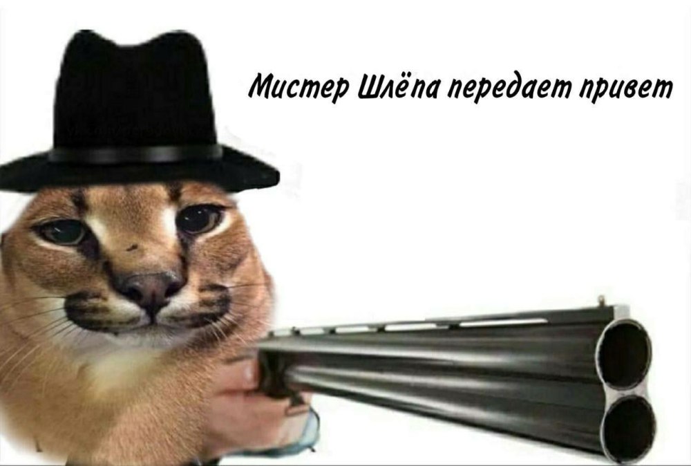 Каракал Гоша Шлеппа
