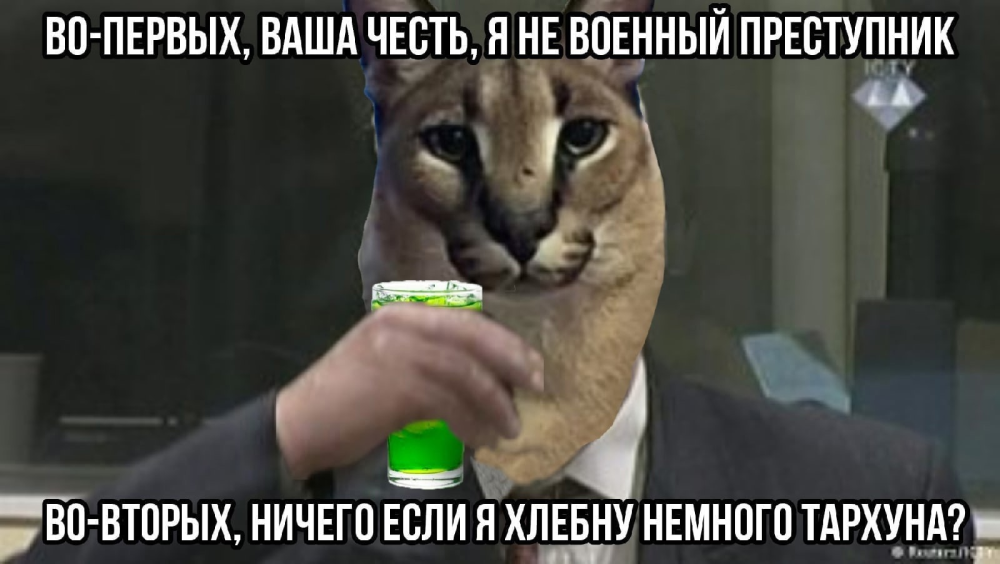 Кот с факом
