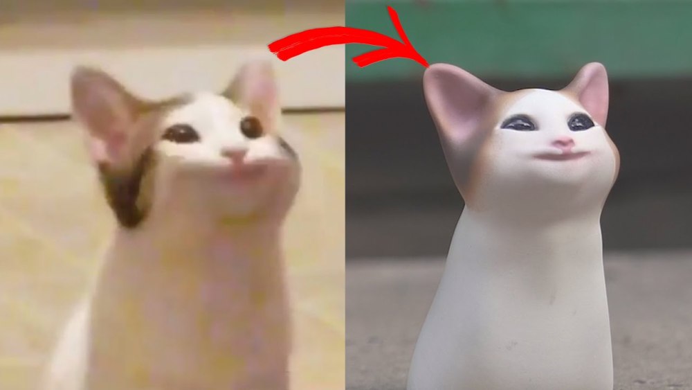Кот с факом