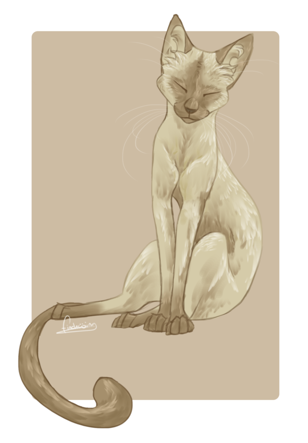 Коты Воители Сиамская кошка