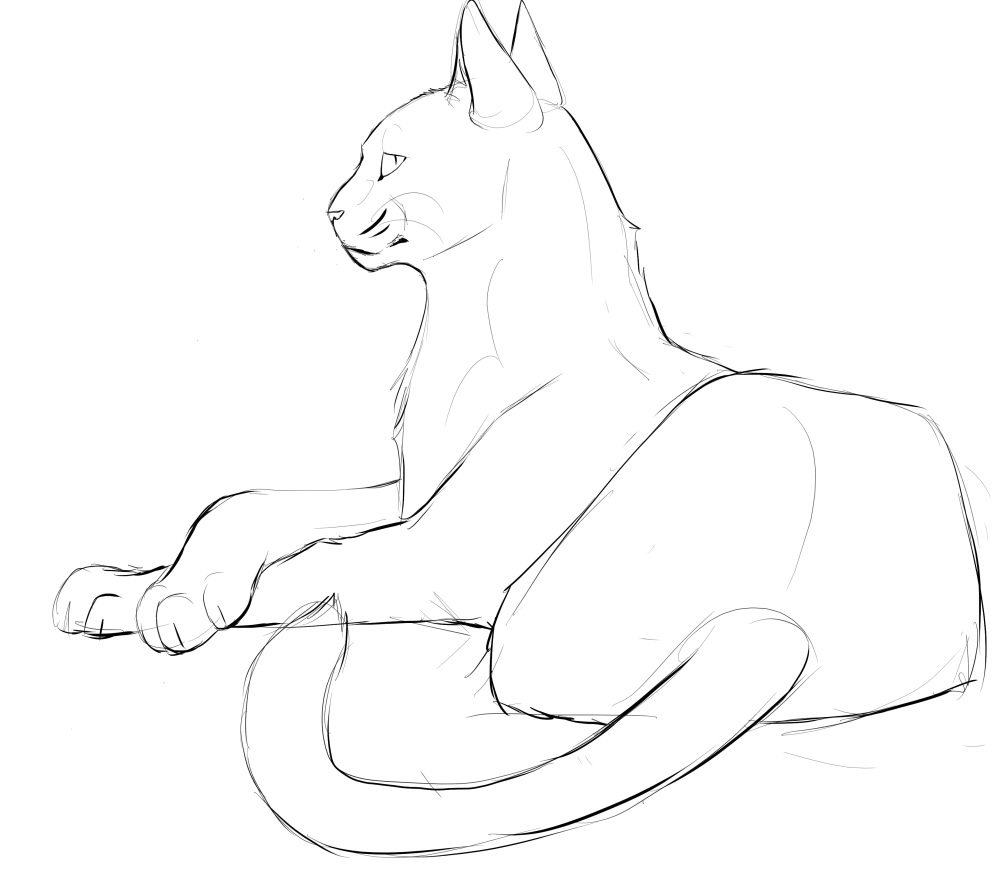 Сидячая кошка референс