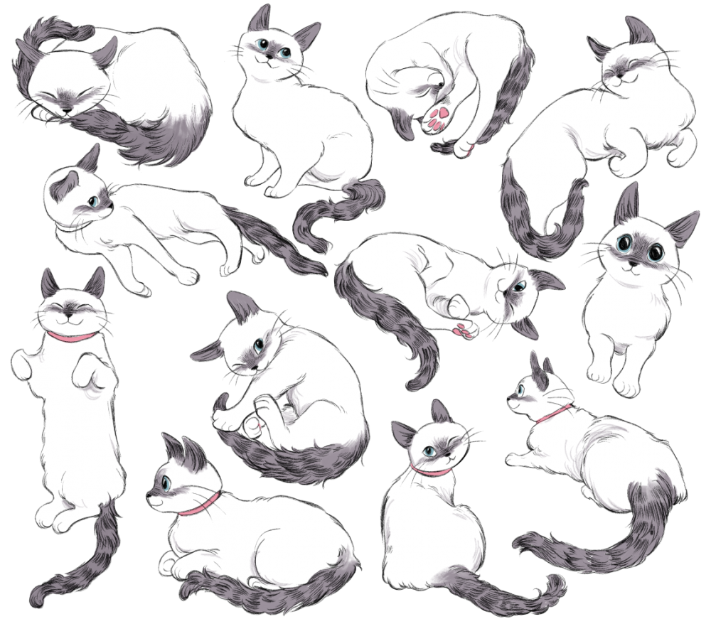 Кот скетч