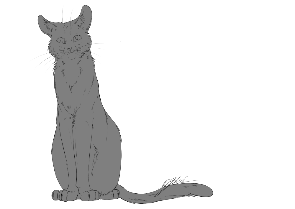 Кот сидит референс