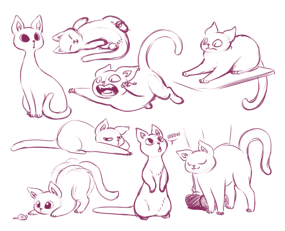 Кошка референс