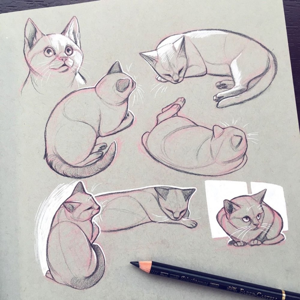 Кот скетч