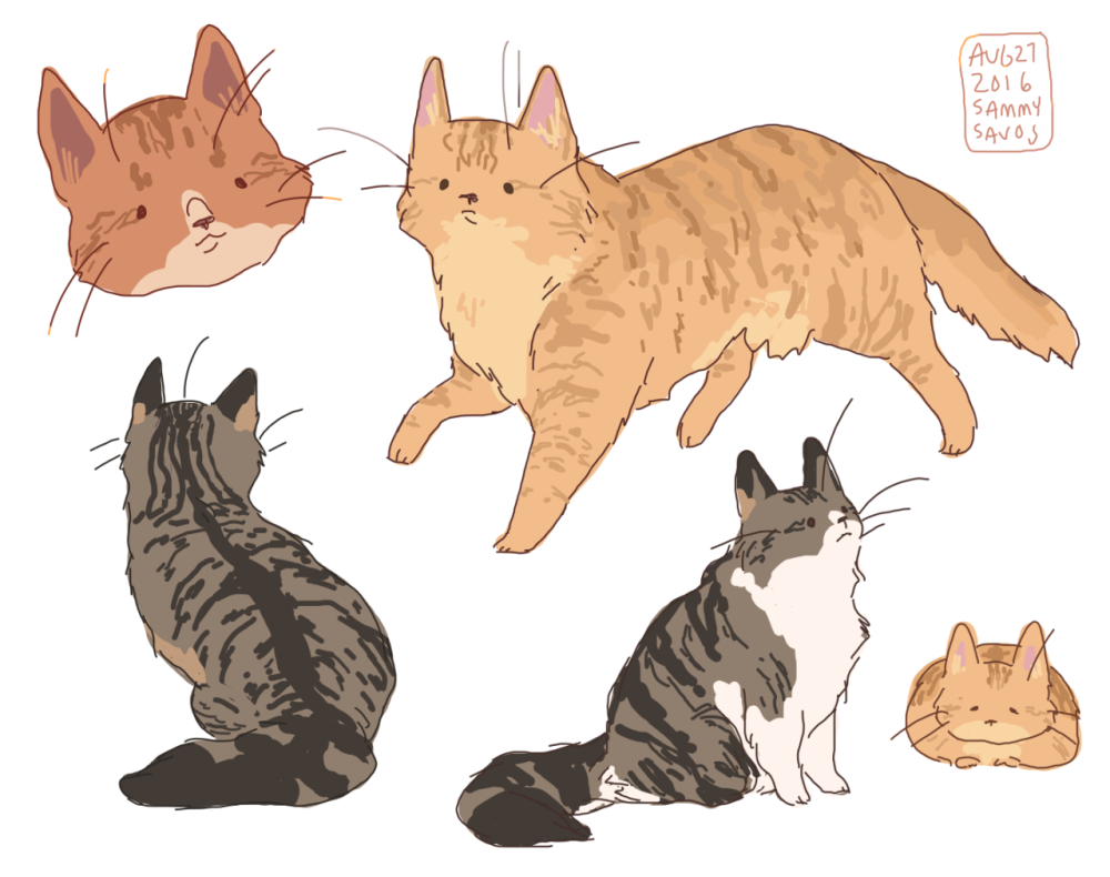 Кот референс