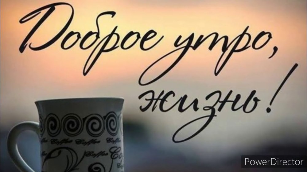 Понедельник приколы афоризмы