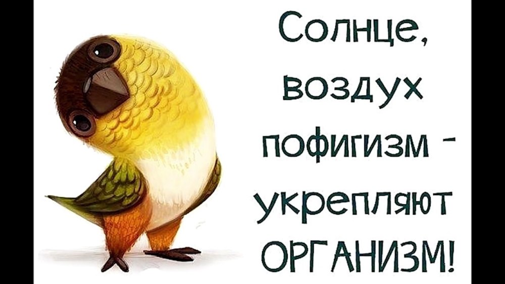 Хорошего воскресного дня природа