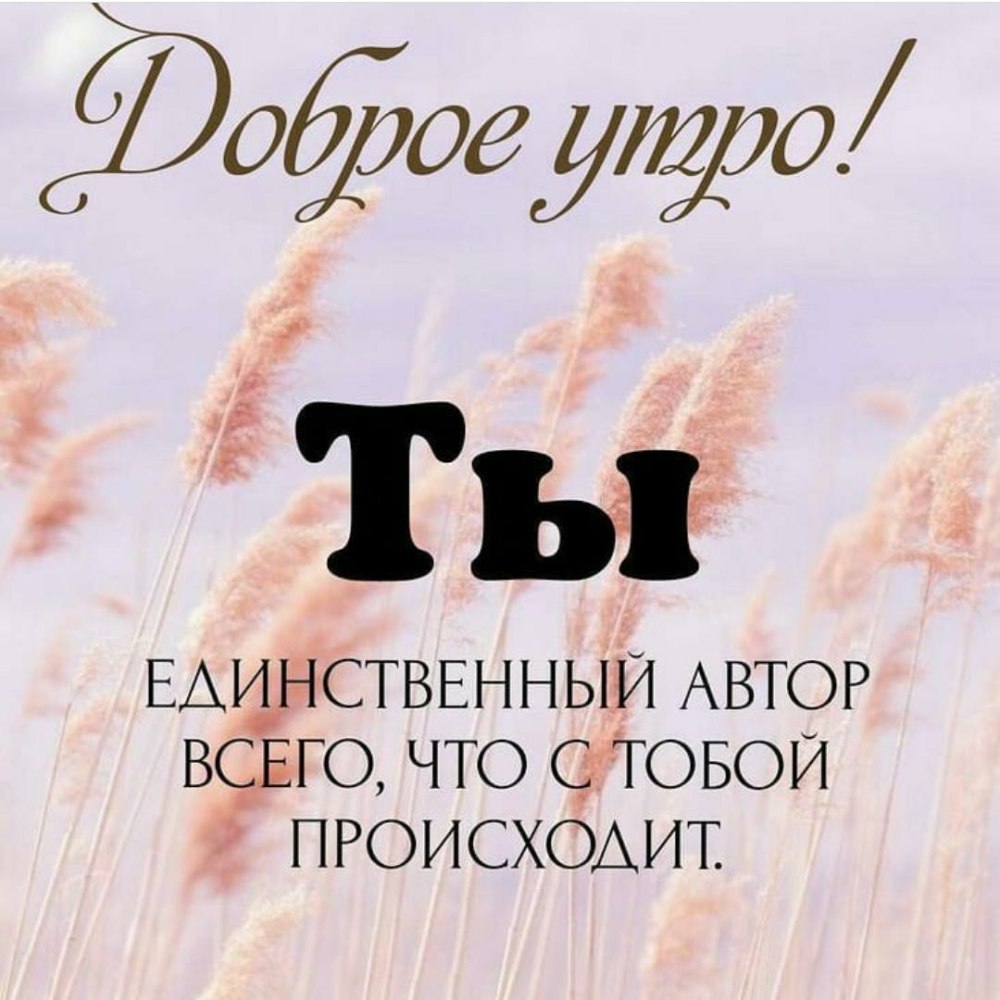 Поздравления с добрым утром понедельника