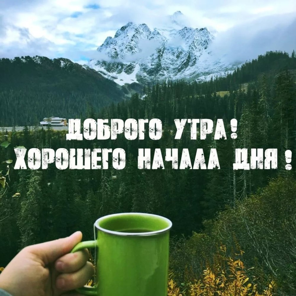 Утренняя мудрость