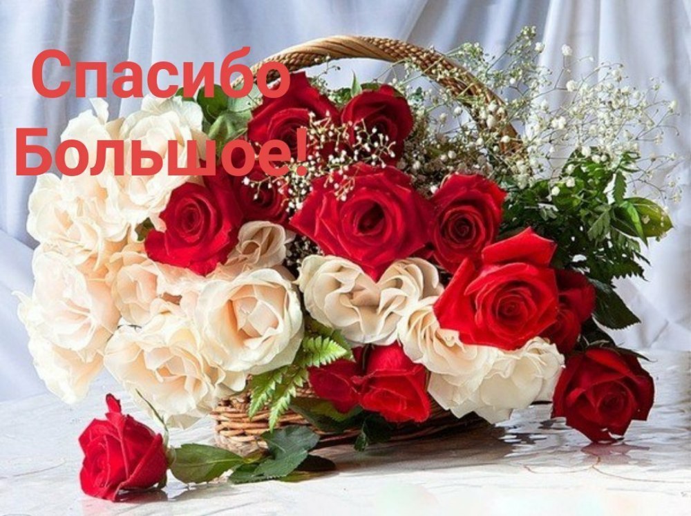 Букет роз открытка
