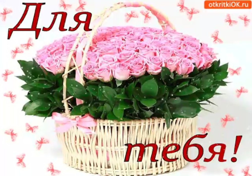 Цветы под зонтиком
