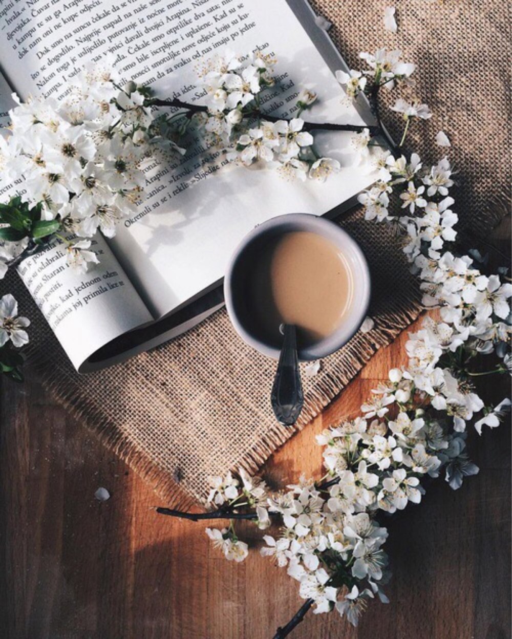 Коллаж бежевого цвета