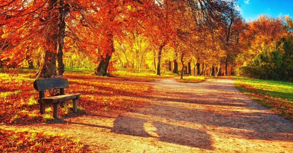 Осень картинки