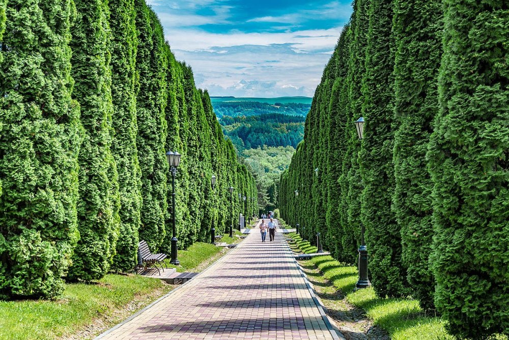 Кисловодский парк Долина роз