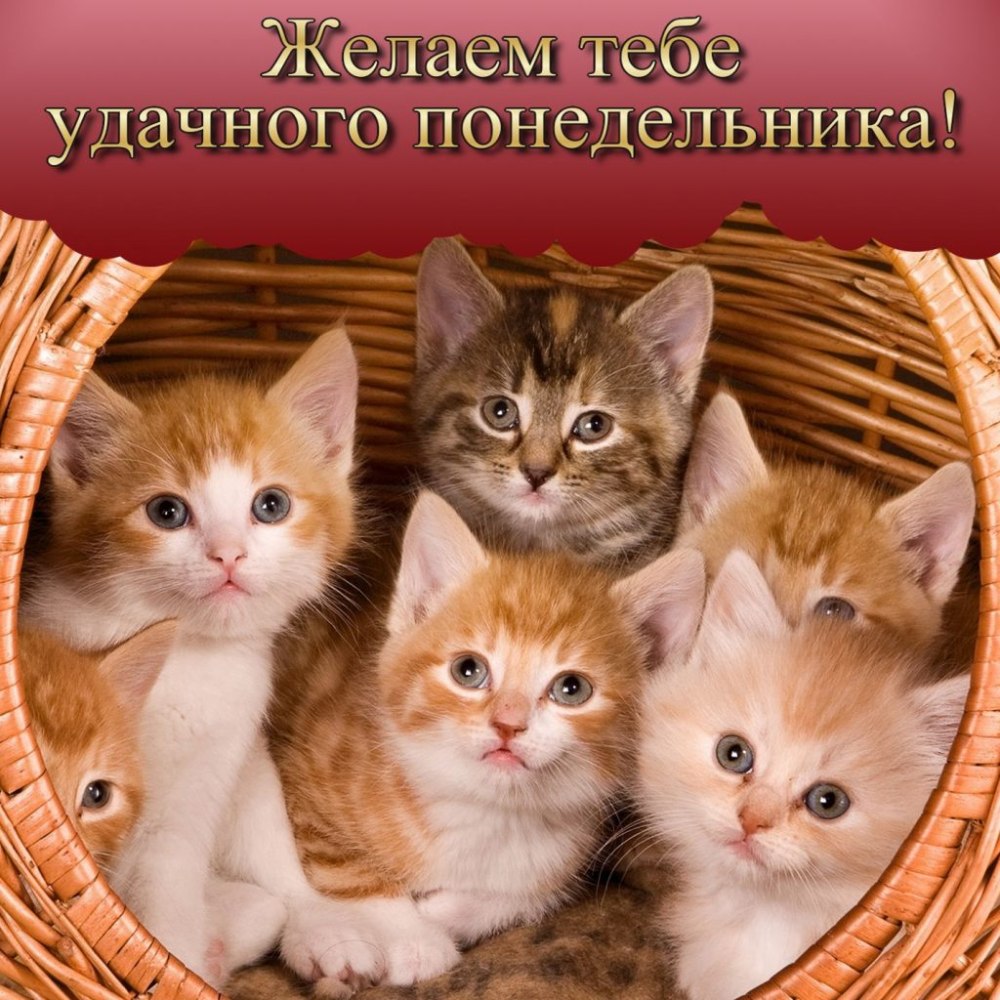 Открытки с началом рабочей недели