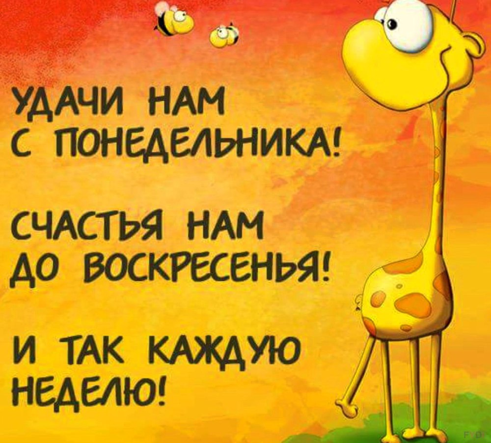 Открытки с понедельником прикольные