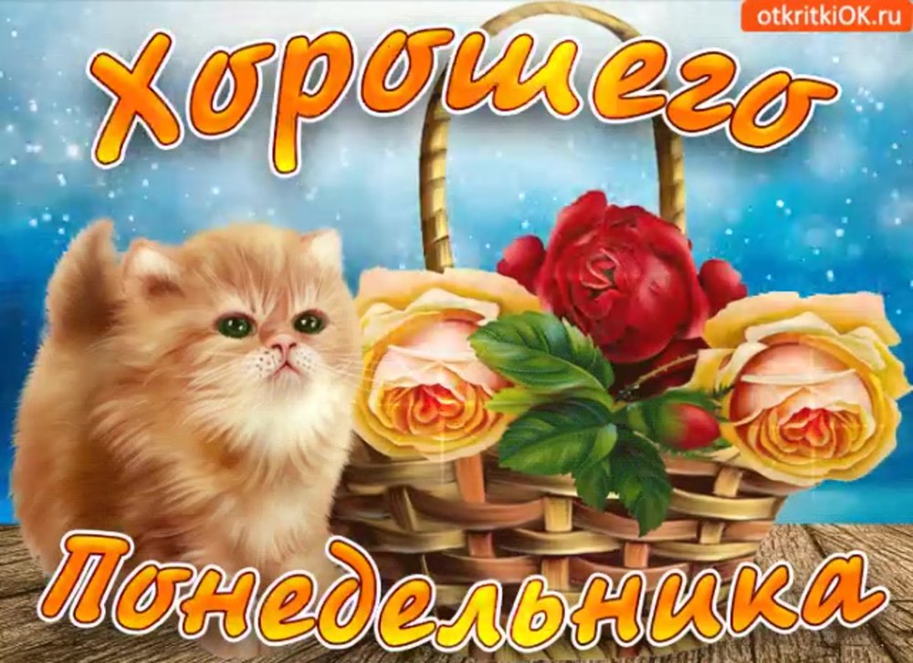 С добрым утром понедельника