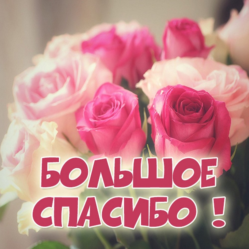 Открытки сердечки с пожеланиями