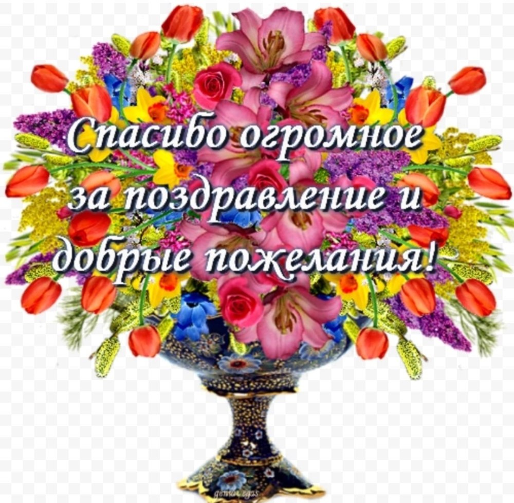 Спасибо за поздравления