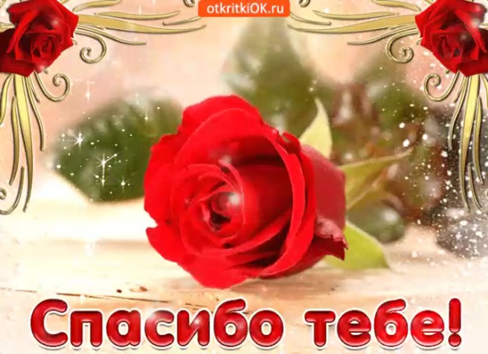 Спасибо родная