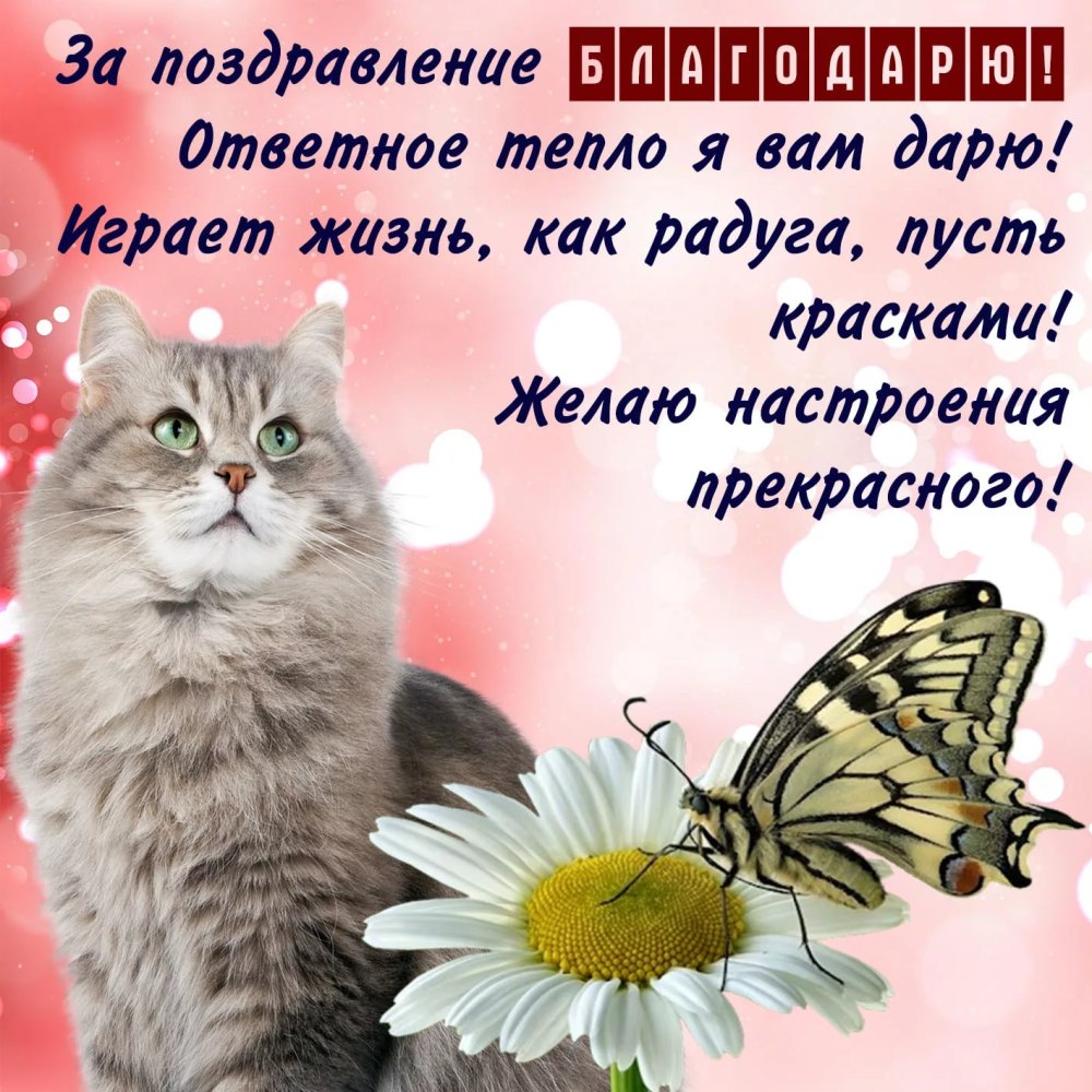 Открытки спасибо тебе