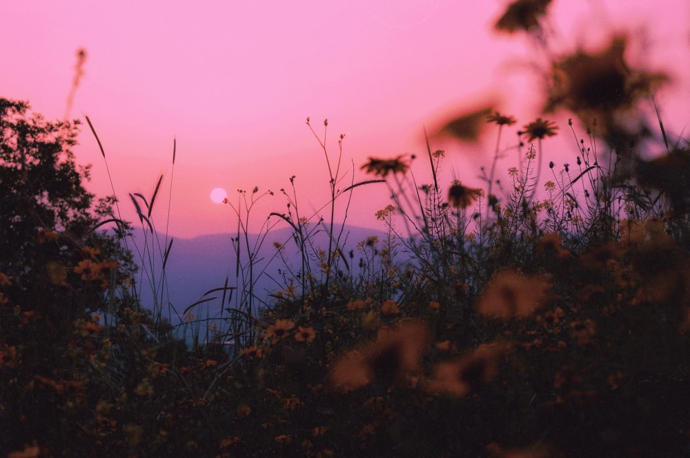 Aesthetic поле