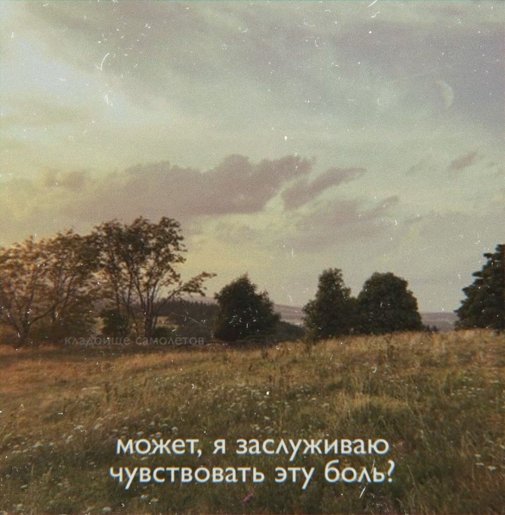 Эстетика природы поле